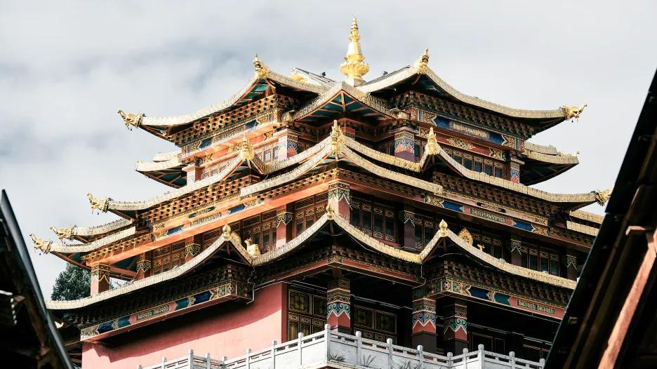 致阿靖的回信...