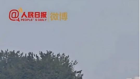 第零方阵！比亚迪纯电动环卫车护航九三阅兵