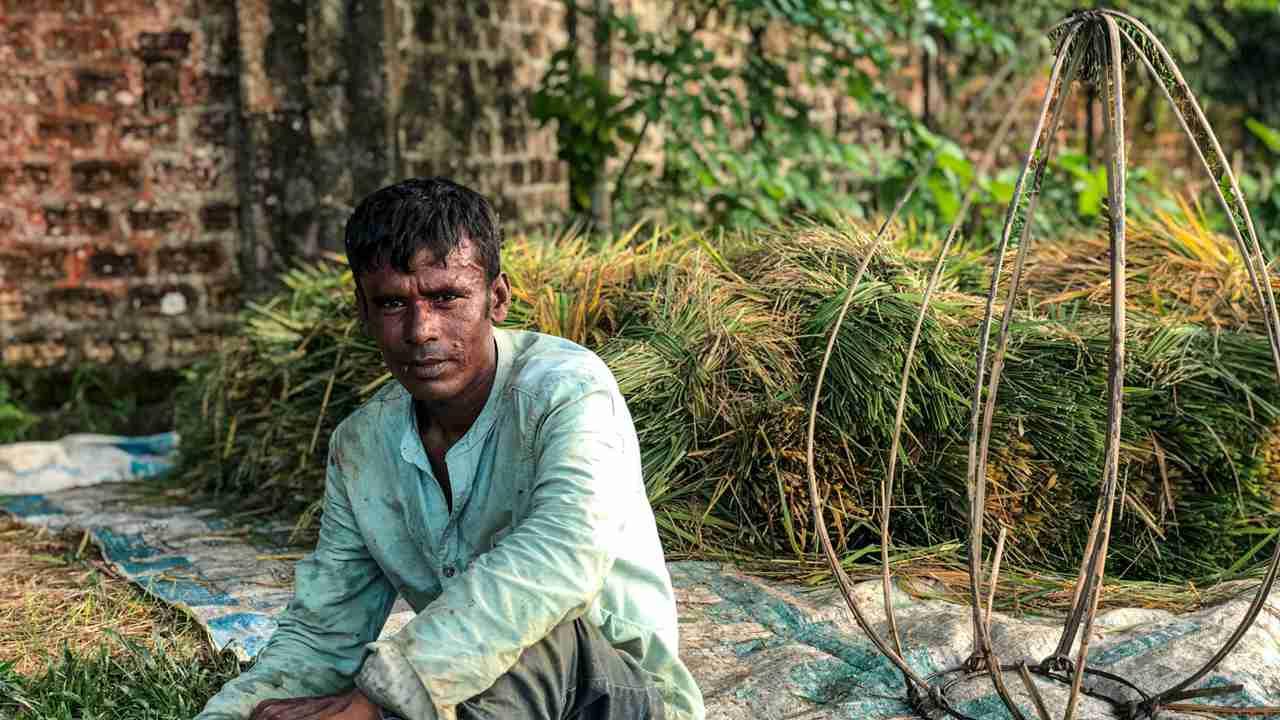 西瓜春季嫁接，创新种植，林下西瓜种植，新模式受欢迎