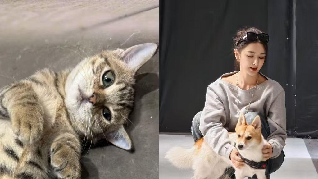 背后真相让人破防！原来薇娅一直在做这件事…