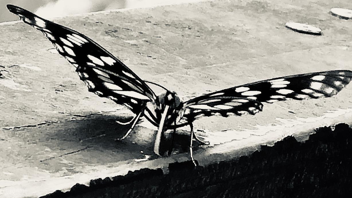 假如梁山伯没有病死，祝英台会有怎样的人生？