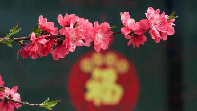 女人真心实意的付出，从这些细节中就能发现