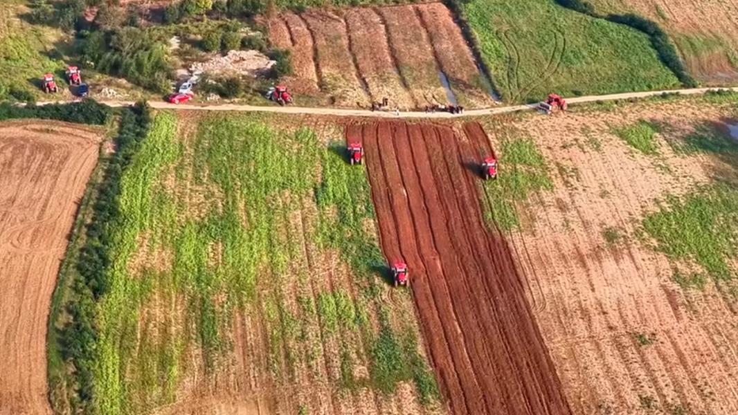 荆门市掇刀区奏响秋播“进行曲”