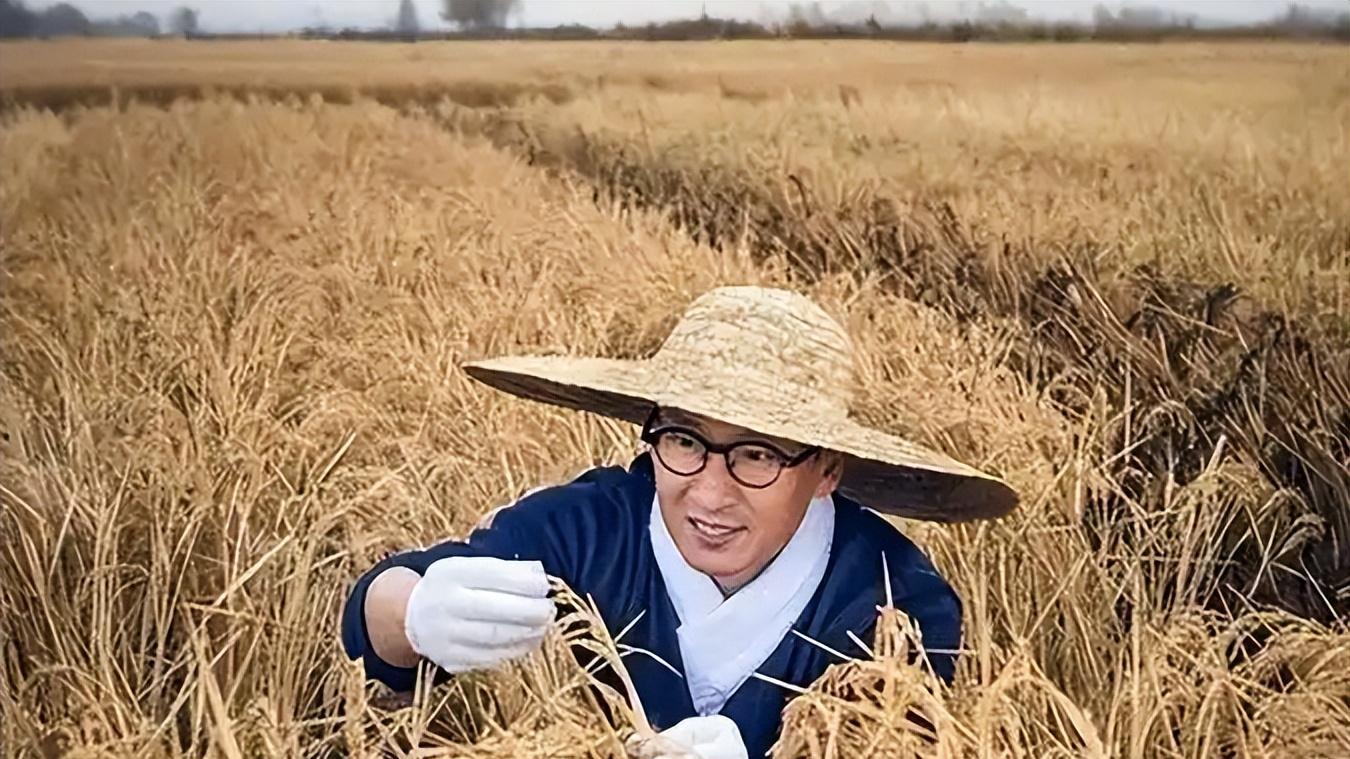 沉寂多年再登热搜：周杰用半生孤独撕碎娱乐圈假面