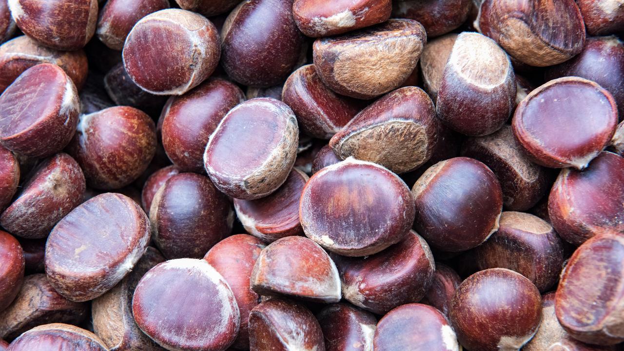 不外传的6个挑板栗技巧！避开空壳坏果，颗颗饱满香甜，一看就会