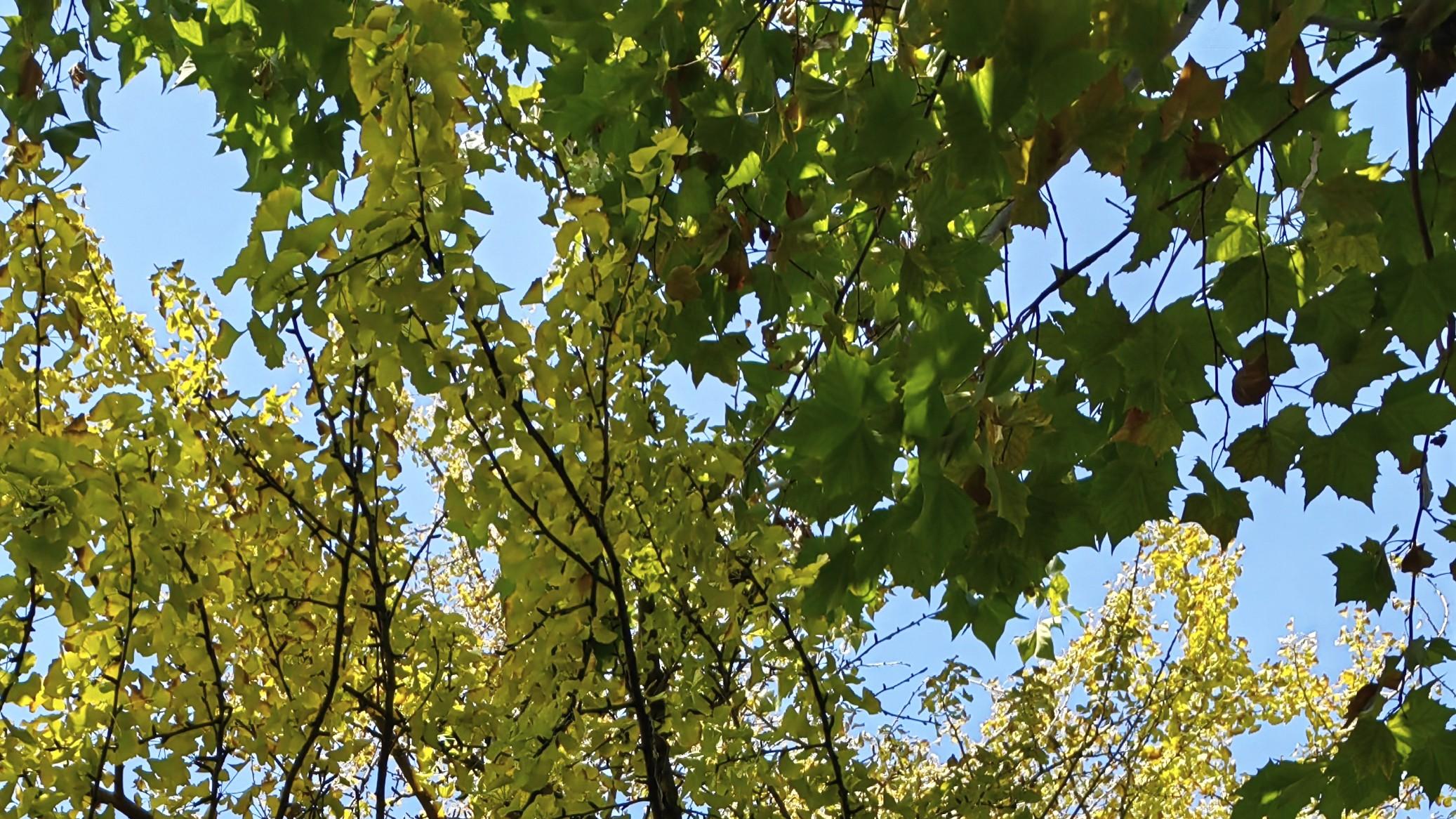 职场遇麻烦，如何来分辩？