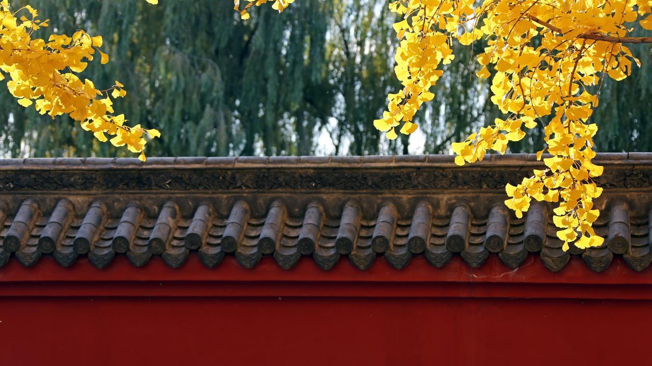 你想要离职，又想要公司赔偿，那就千万不要作死