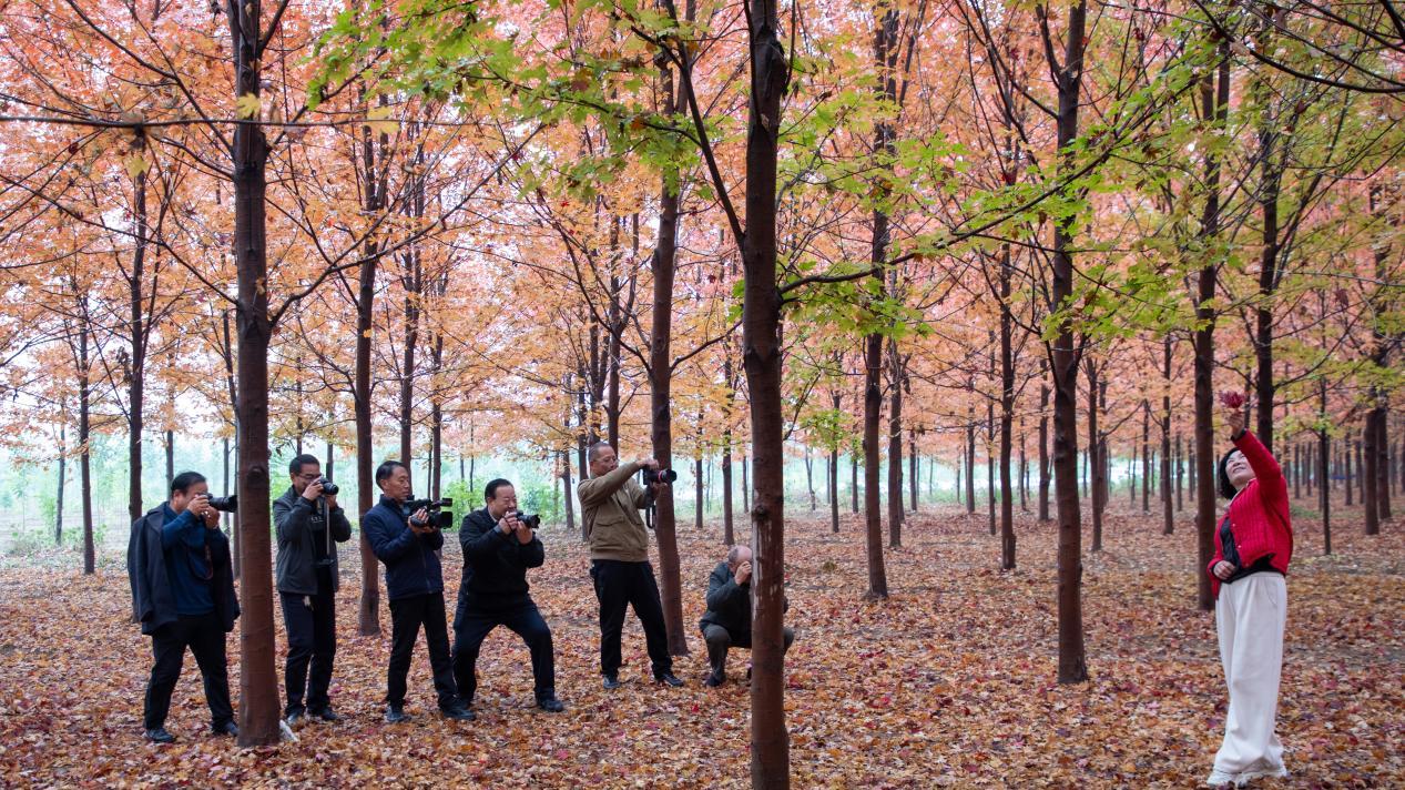 民权县摄影家协会与影视家协会开展秋季采风活动