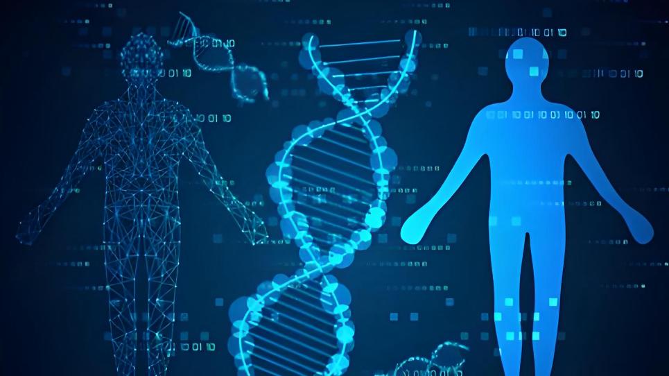 生命密码：从37万亿细胞到星际对话，人体藏着多少未解之谜？