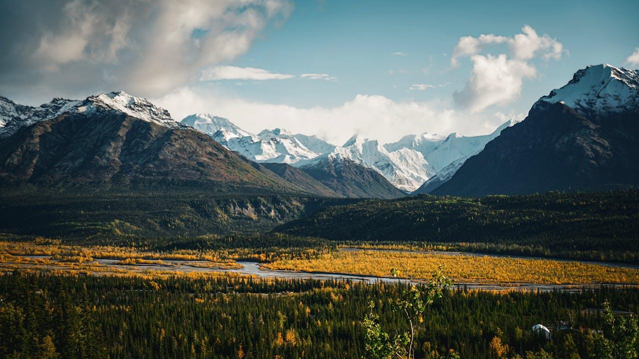 世界太快，但我们却走得很慢