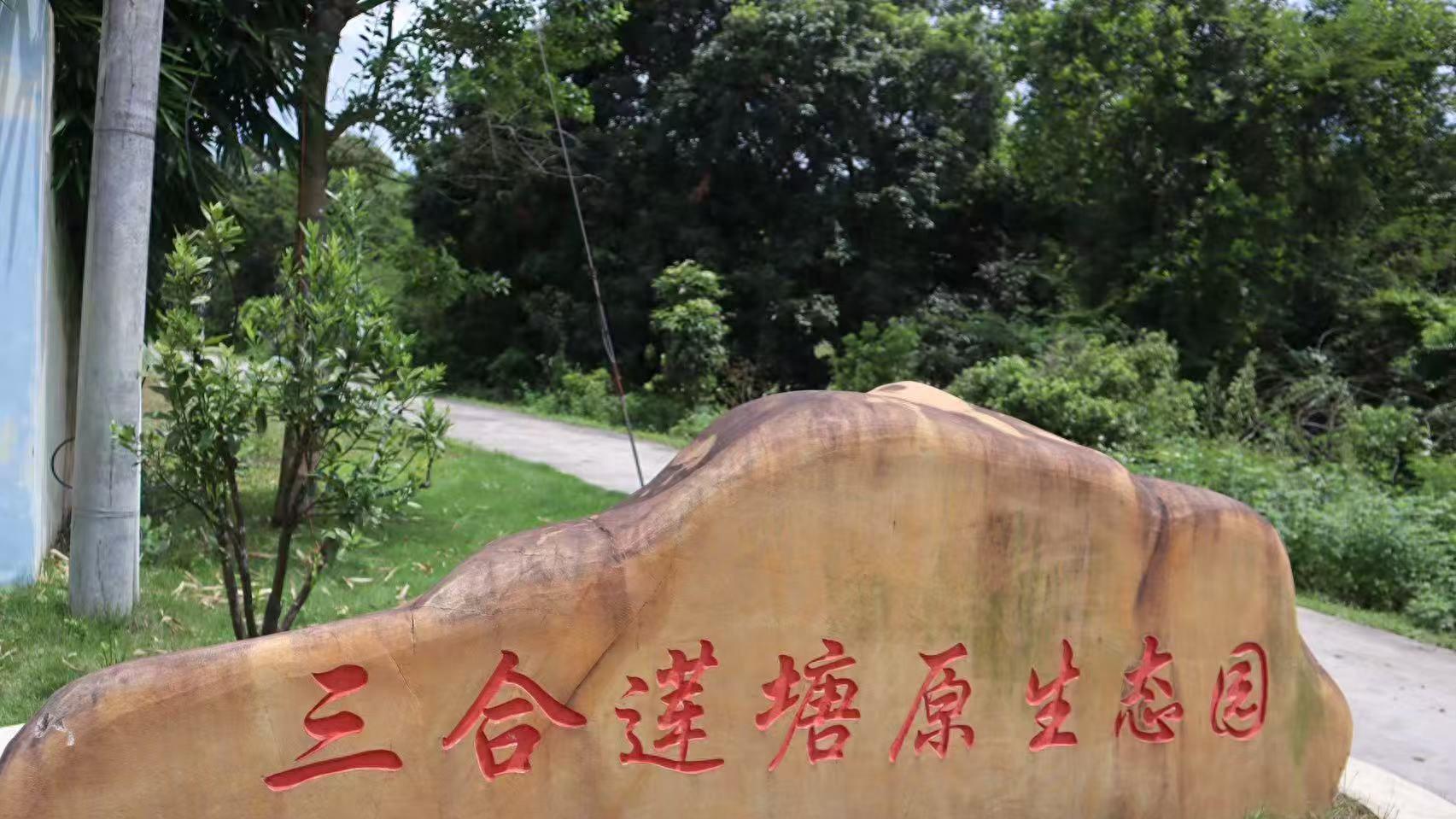 三合冠联农场黄晶果荣获“粤港澳大湾区十大农土特产”荣誉称号