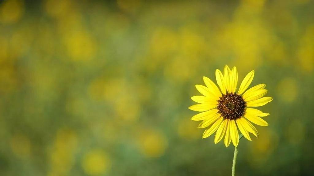 人生“两不得”，急不得，怨不得