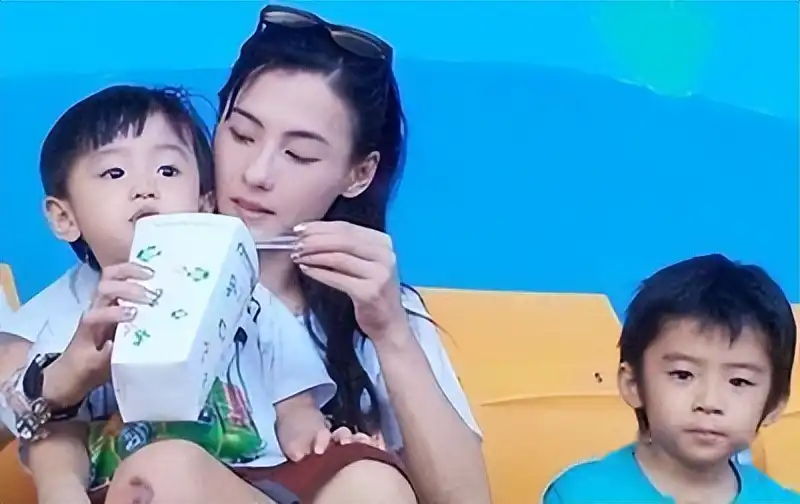 从明星女郎到单亲妈妈：张柏芝如何在婚姻废墟中重建人生