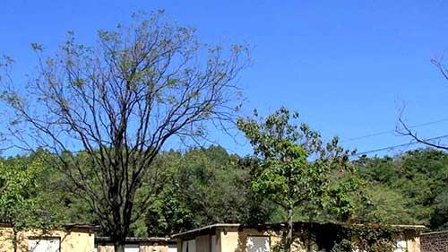 西柏坡干部培训学院：3 堂课重塑信仰