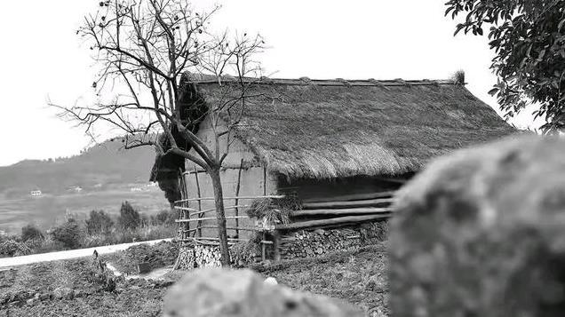 悲悼老者文：92岁的孤独老人去世，全村人为其发丧……