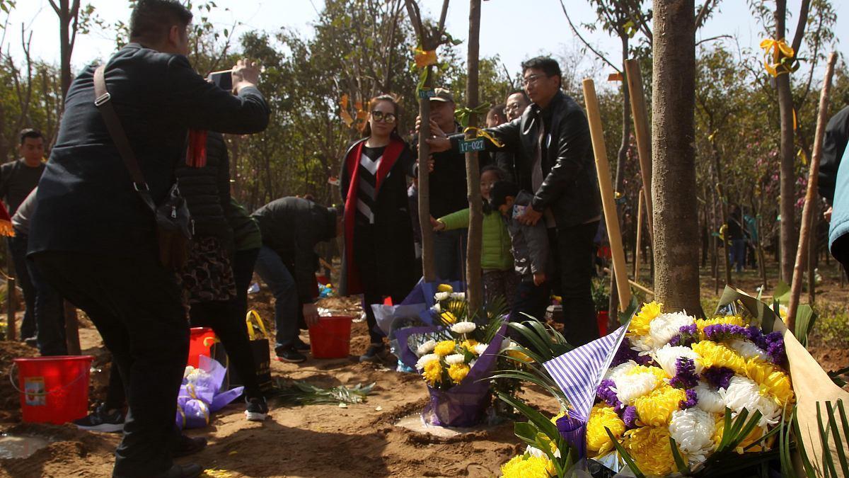 “清明不明，荒年凶兆”，4月4日清明节，有3忌，2要，3不需记住