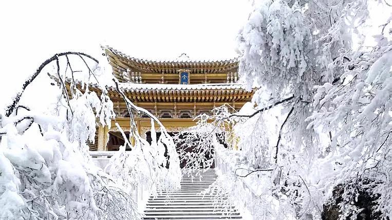 天水迎来入冬首场降雪 白音山现玉树琼花盛景！