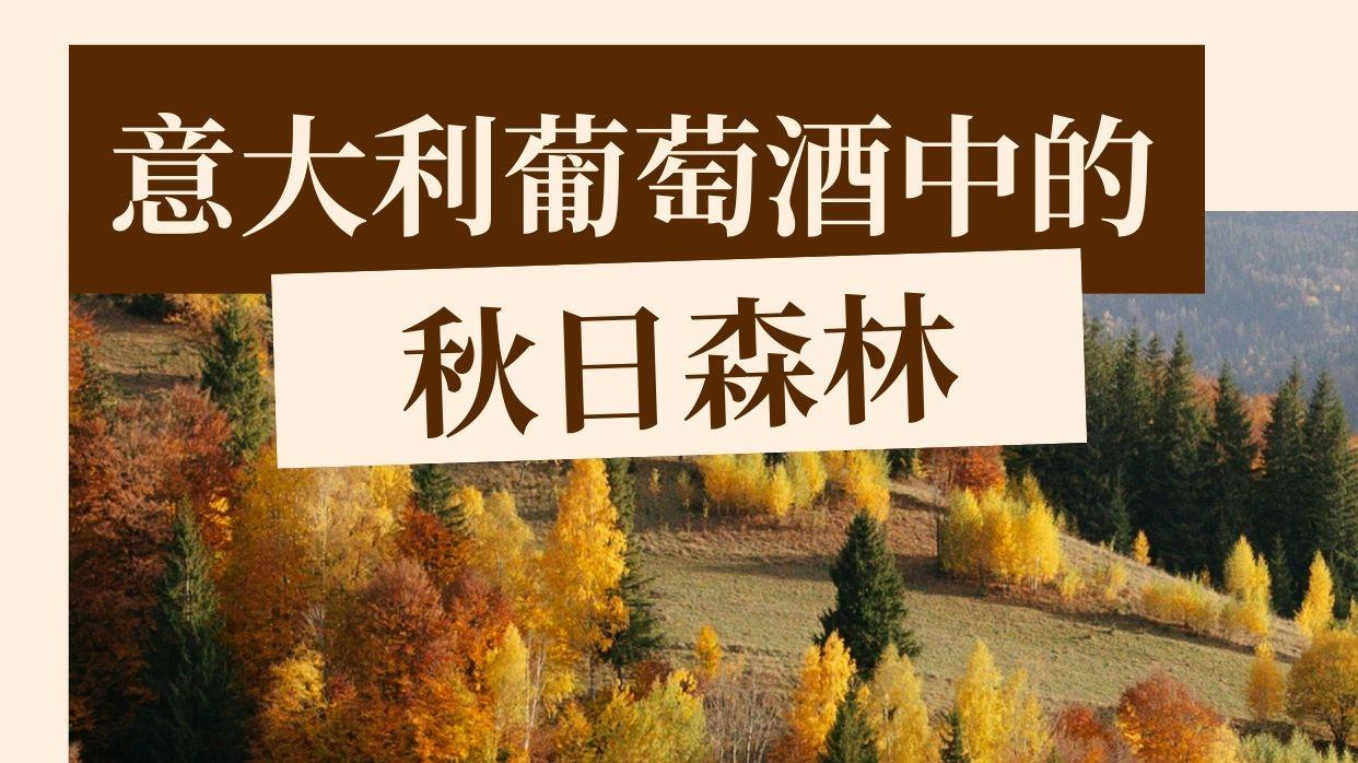 意大利葡萄酒中的秋日森林