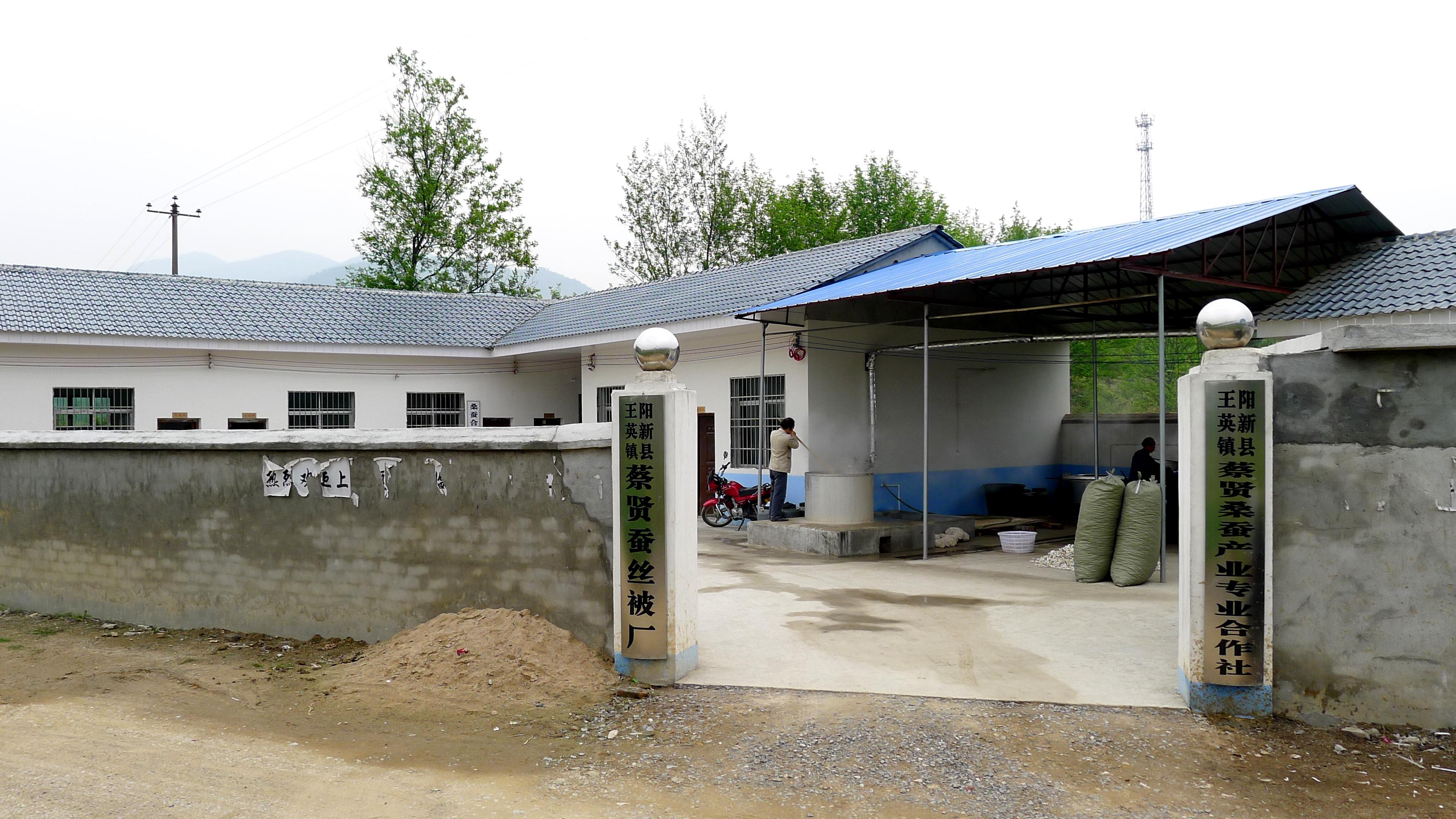 阳新女子“一人揽五工”托举一个家