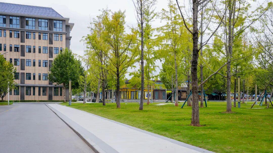 这些“小变化”正温暖着你的每一天！