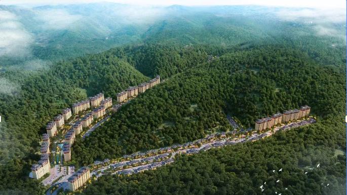 墨韵青山启新程！墨先生书画院凤凰谷写生基地揭牌，奏响文旅融合强音