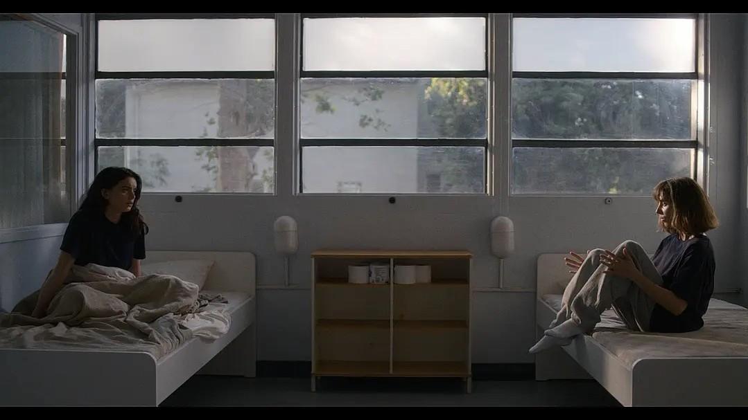 孤独救赎之旅——《爱马的女孩》