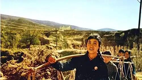 郭凤莲感叹：要是按照陈永贵书记的设想继续发展，大寨会走向何处