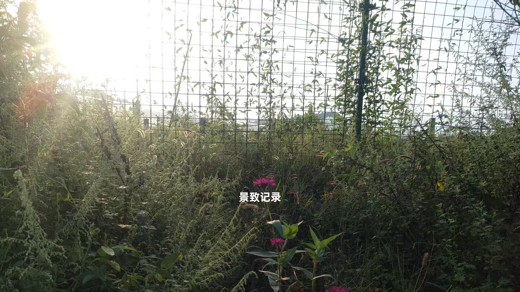 景致记录：美国巴尔的摩，狄更斯住过最舒服旅馆，看了两座纪念碑