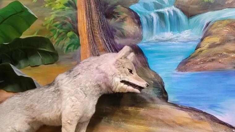 别傻了！俄罗斯要是赢了，它就赢得崛起复兴的新窗口期