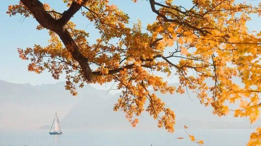 2026年家电“国补”政策延续呼声高涨！