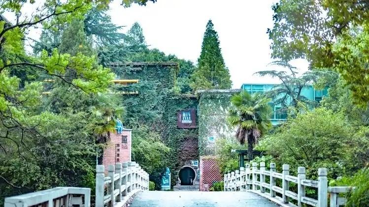 如果要增加一所985大学，哪所高校最有希望入围？