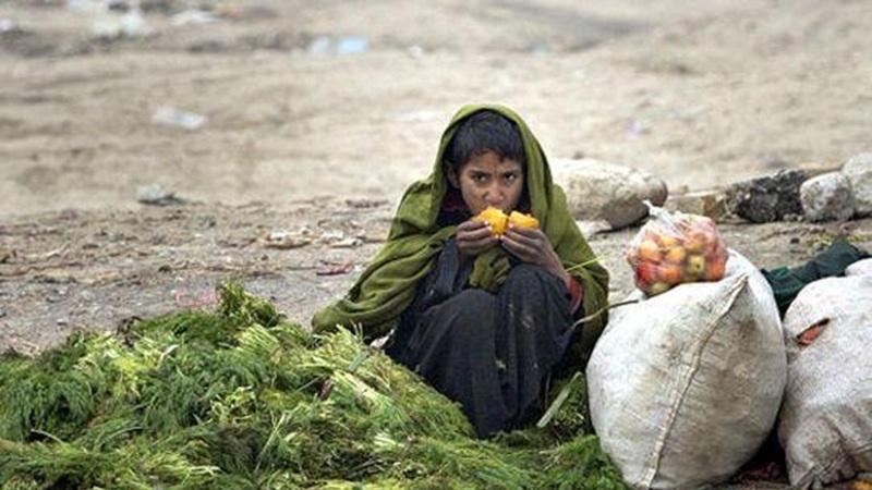 放生大米？错，就是糟蹋粮食