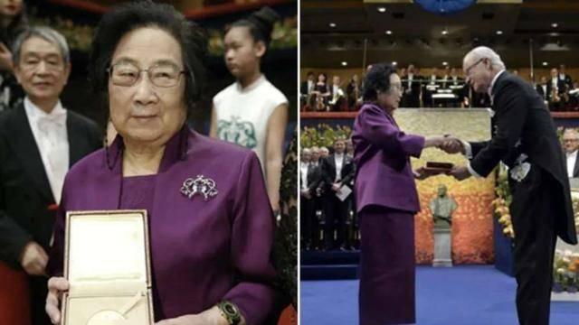 屠呦呦当选美国科学院外籍院士：中国科学家的全球荣耀与使命传承