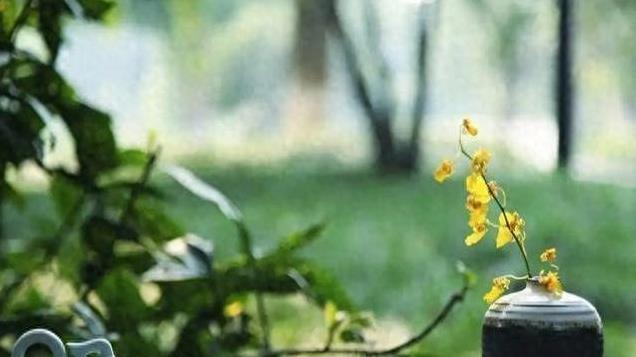 情人之间就算和平分手，女人一样会有这些不甘心, 看看说的是你吗