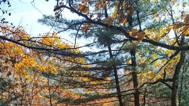 黑龙江旅游，美景鹤岗打卡攻略！