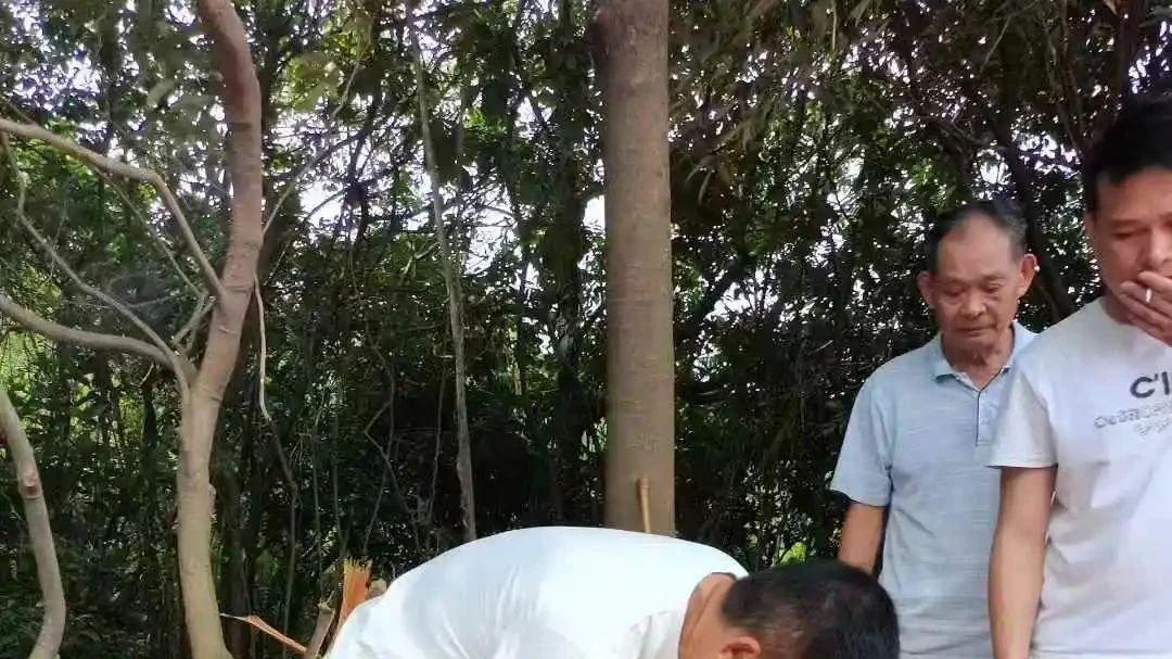 三僚曾真君：应邀在广东揭阳为福主立碑定向