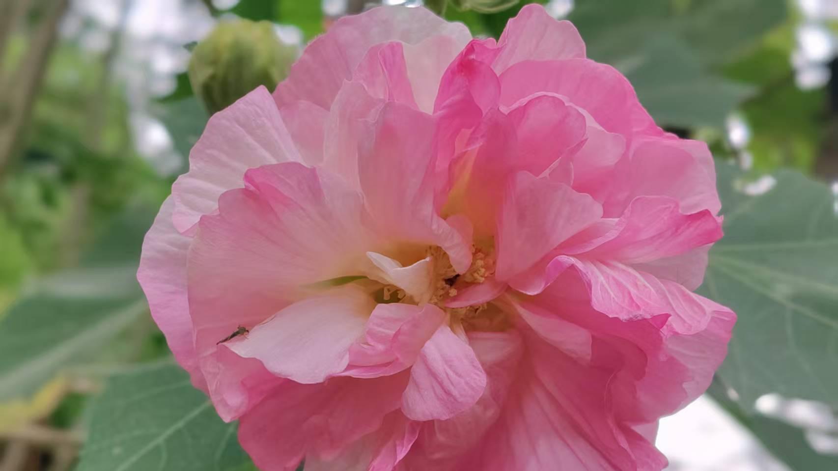 不要期待你的孩子干大事