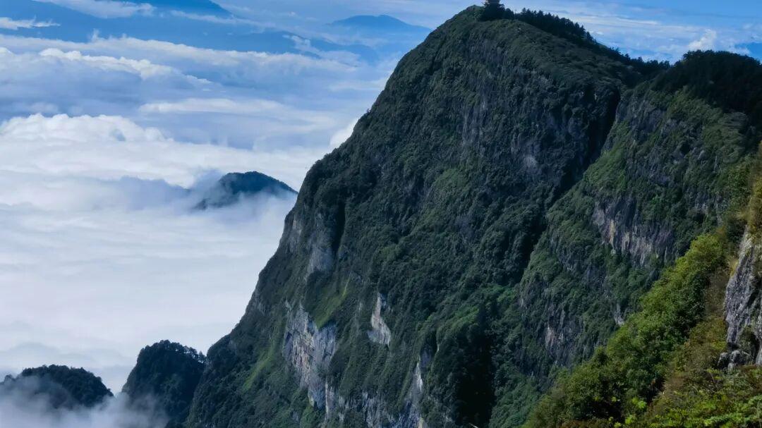 更新！预告！过段时间会写一本架空小说（神魔仙侠，志怪悬疑）