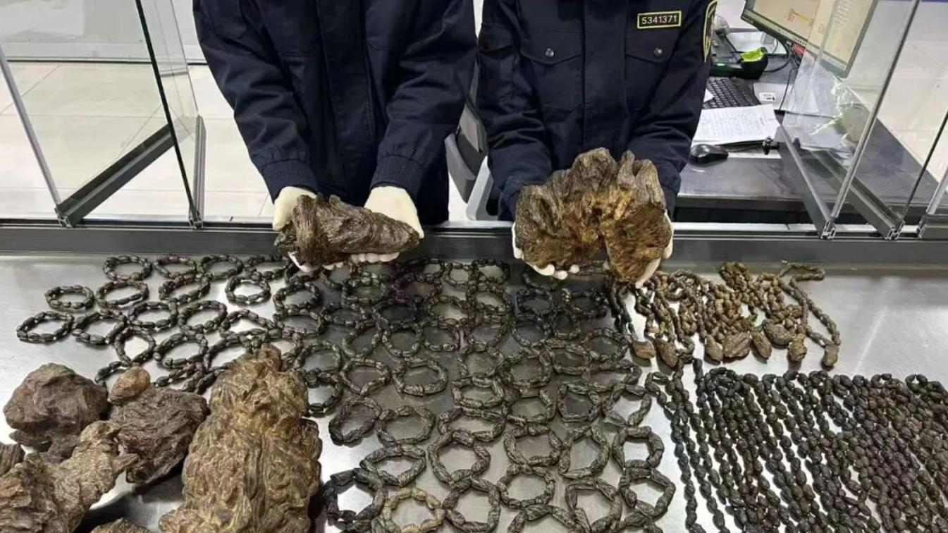 海关律师、走私辩护律师邵丹：查获走私沉香木