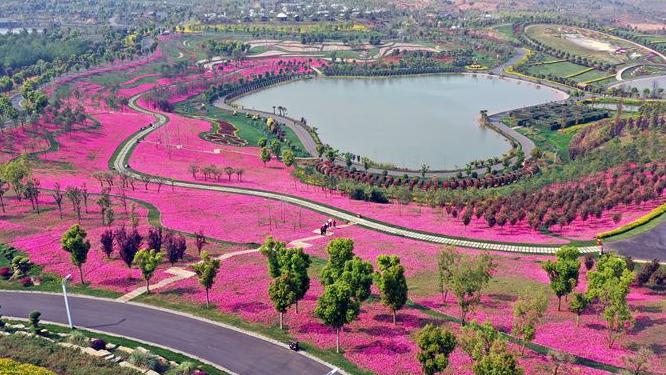 坐着火车游红河！滇南秋冬之约，明天启动