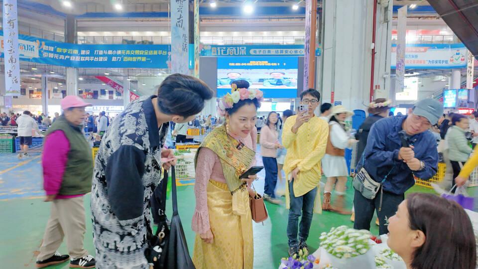 多国网红引潮来，一带一路共“云”香