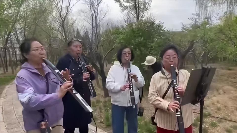 我与电吹管的情缘
