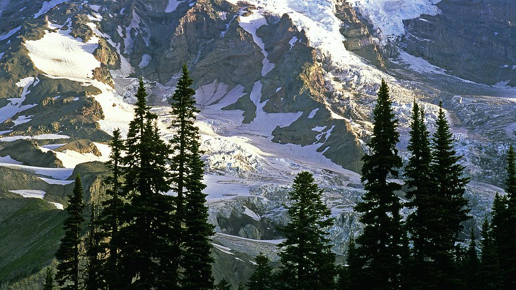 一种很坏的思想，希望别人倒霉