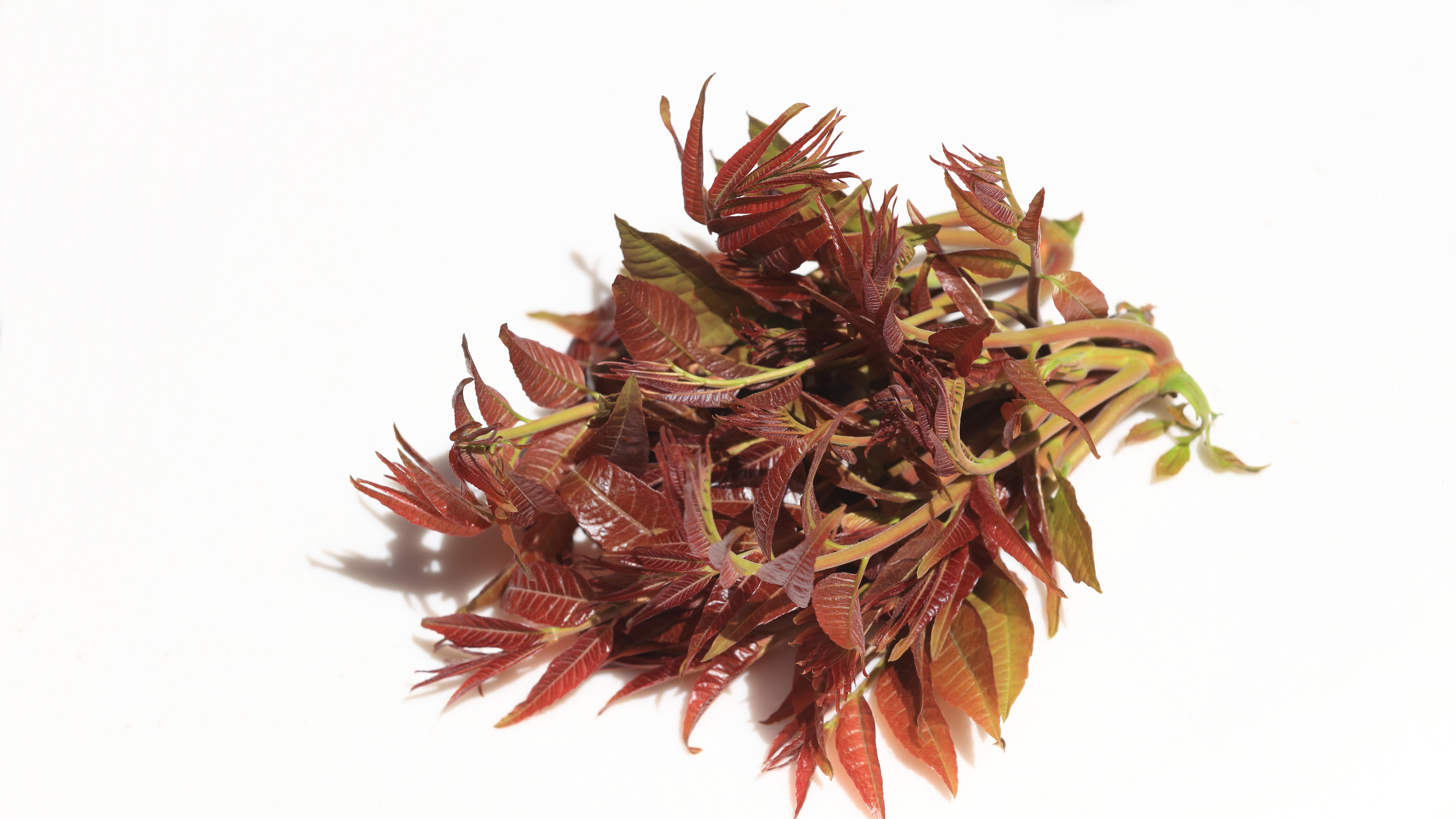 务虚会：顶级企业确保方向正确的终极战术