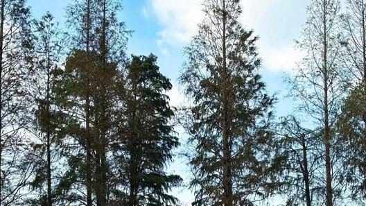 冬暖夏凉全家爽！飞行家这座椅藏了「温度自由」