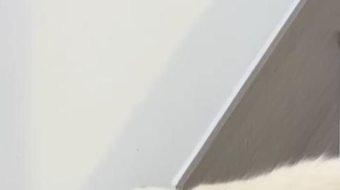 猫咪喝水前刨地板是嫌弃水脏？真相可没这么简单