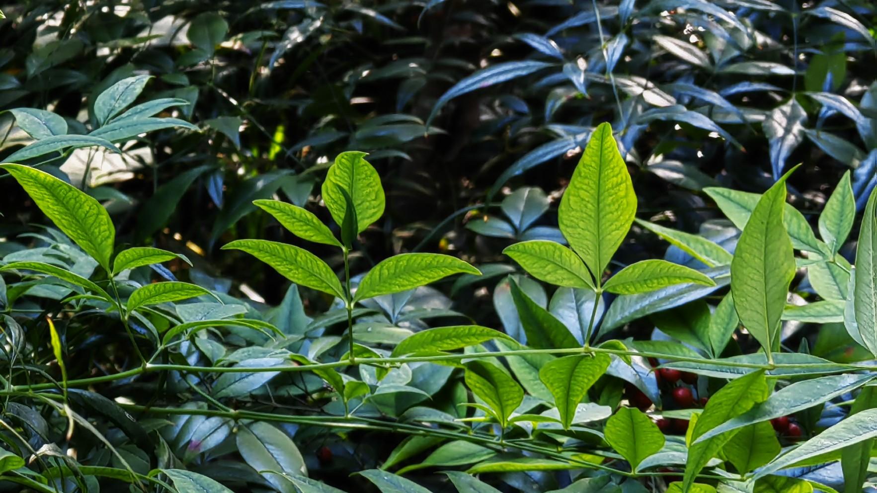 人在职场：感恩给予，不靠托举