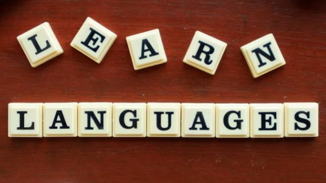 QS前100英国大学2026语言班详情汇总