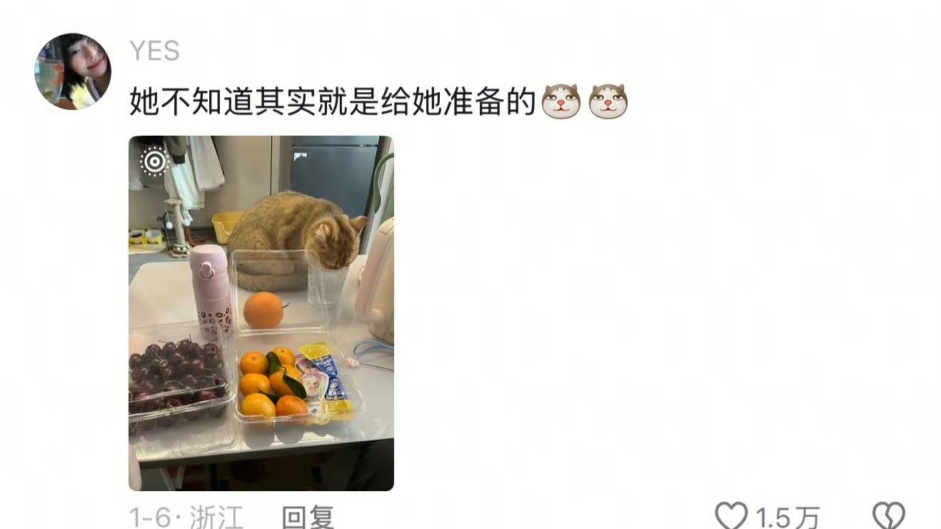 小猫什么水都喝，除了自己碗里的水