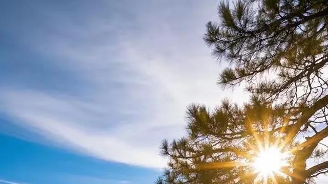 黄山晨曦云海，徒步探秘仙境，感受自然奇观之美